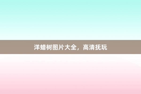洋蜡树图片大全，高清抚玩