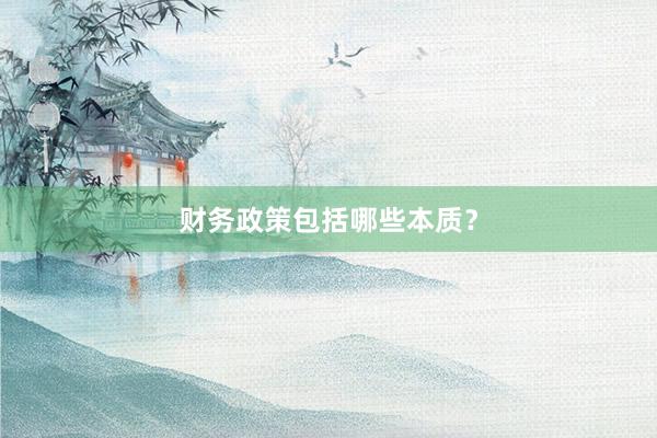 财务政策包括哪些本质？